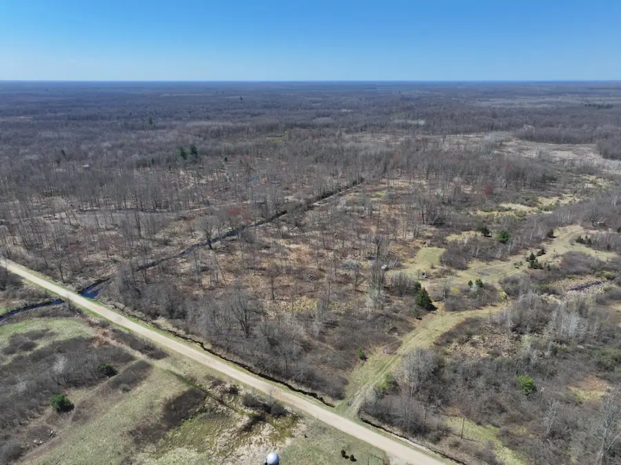 V/L 10A P2 N Magruder Road, Coleman, MI 48618 - #3