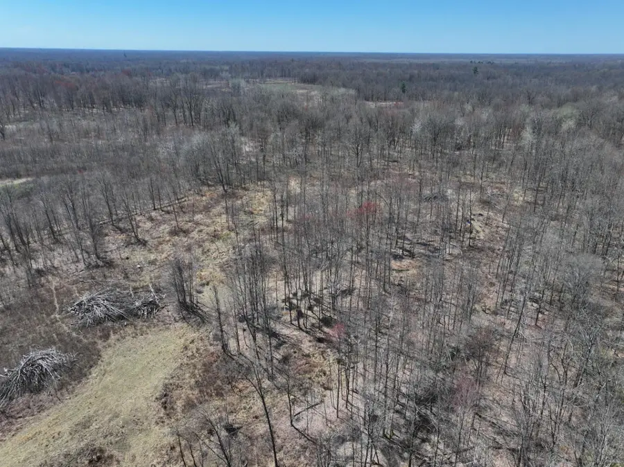 V/L 10A P2 N Magruder Road, Coleman, MI 48618 - #3