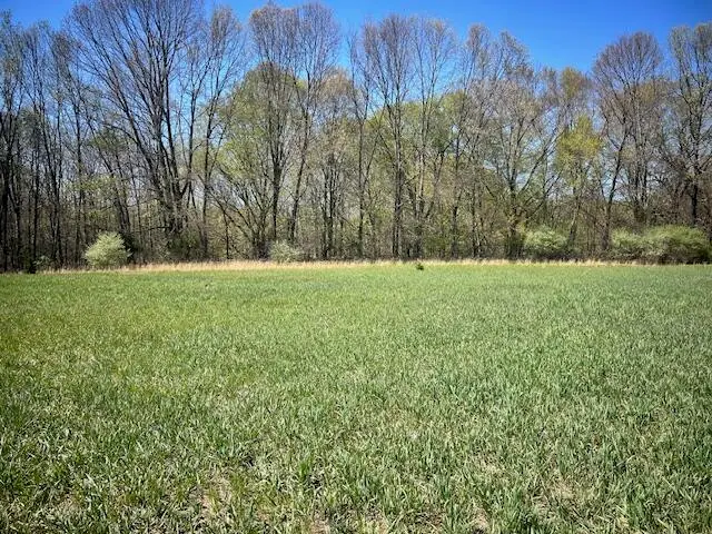 Parcel 1 70th Street, South Haven, MI 49090 - #2