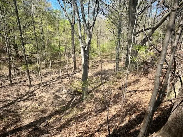 Parcel 1 70th Street, South Haven, MI 49090 - #3