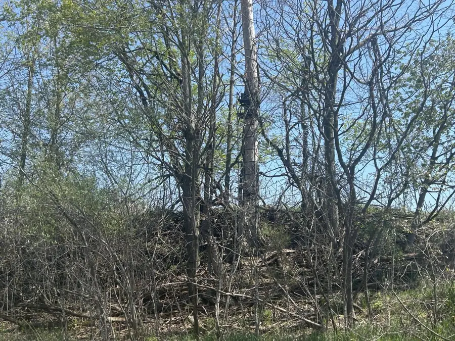 0 VL Church Road, North Adams, MI 49262 - #3