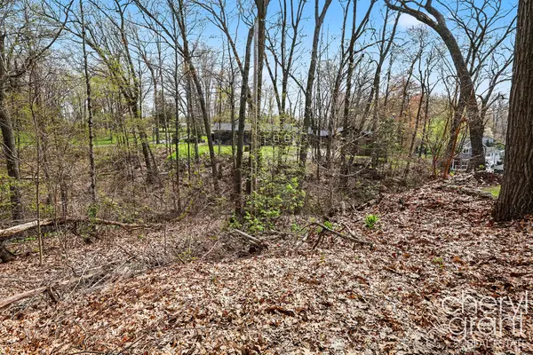 7406 Ravine Drive Ne, Belding, MI 48809