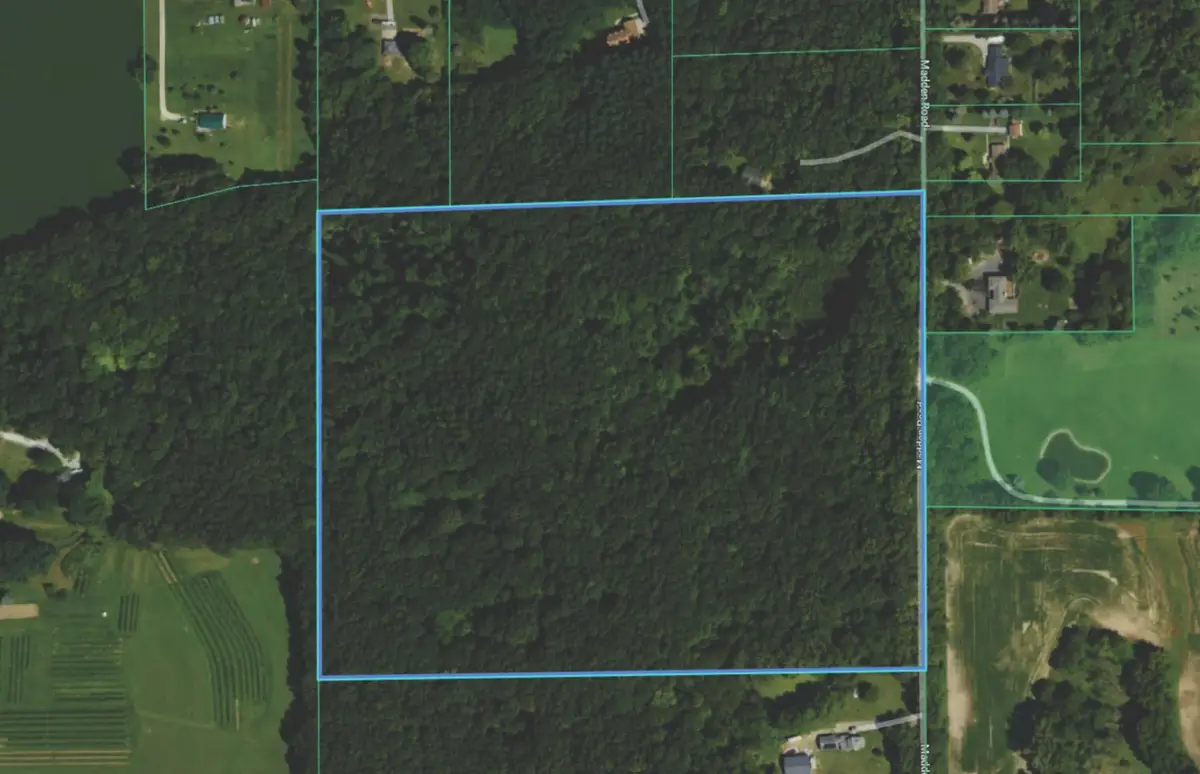 Madden Road, Dexter, MI 48130 - #1