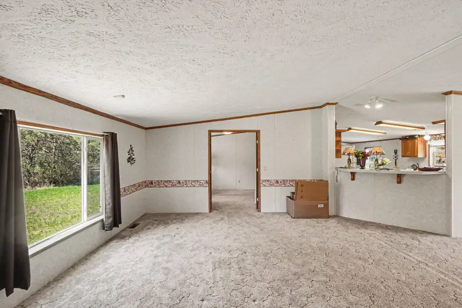 20240 10th Avenue, Barryton, MI 49305 - #2