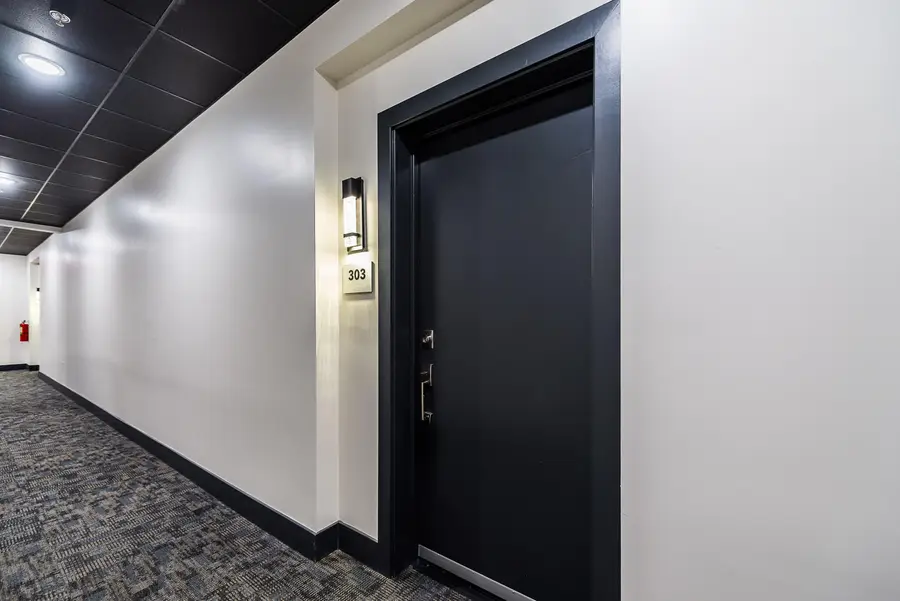 441 S Ashley Street #303, Ann Arbor, MI 48103 - #2