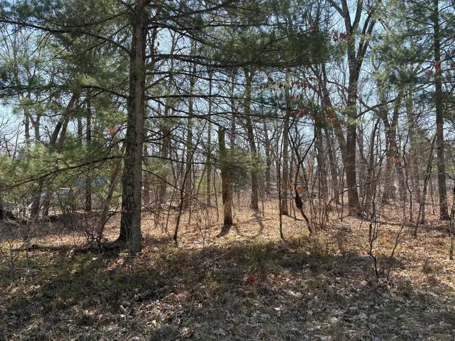 S Chief Okemos Trail, Baldwin, MI 49304 - #2