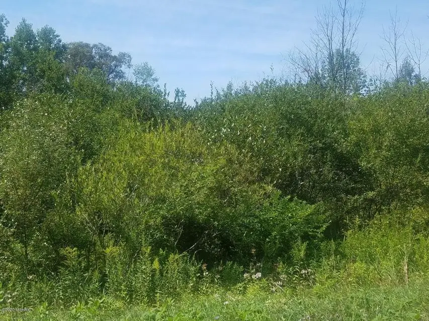 V/L S Marlene Street #Lot 17, Rothbury, MI 49452 - #1