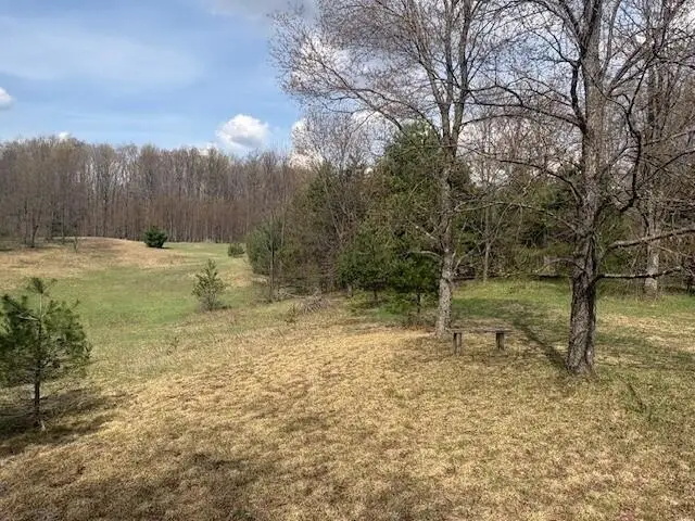 nn N Asplund Drive, Tustin, MI 49688 - #1