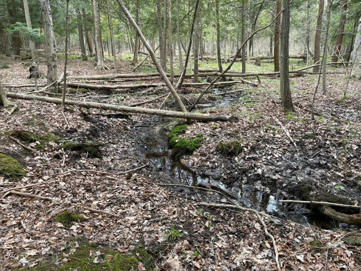 2.27 Acres W Shelby Road, Shelby, MI 49455 - #1