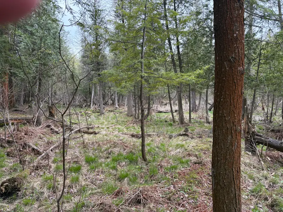 2.27 Acres W Shelby Road, Shelby, MI 49455 - #2
