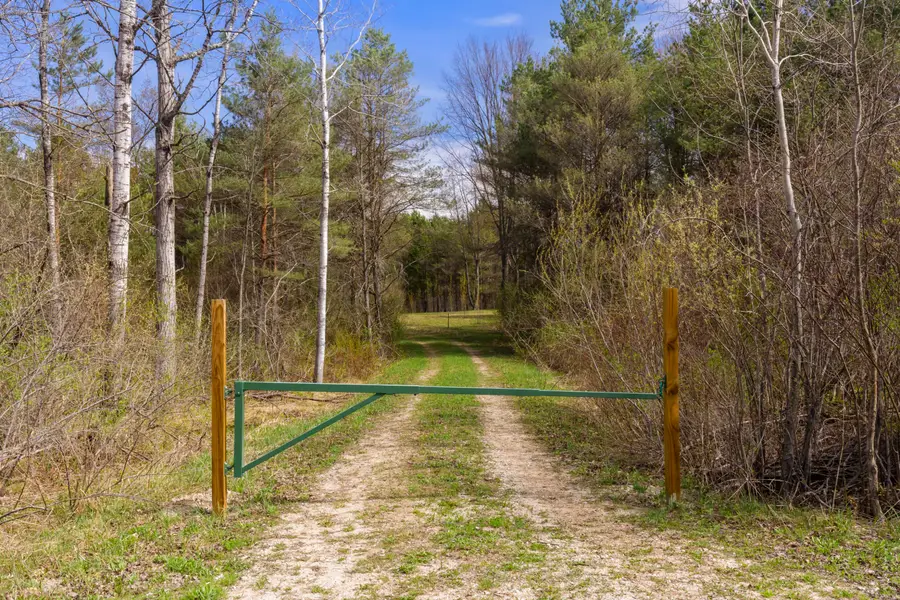 00Z0 Dzuibanek Road, Thompsonville, MI 49683 - #2