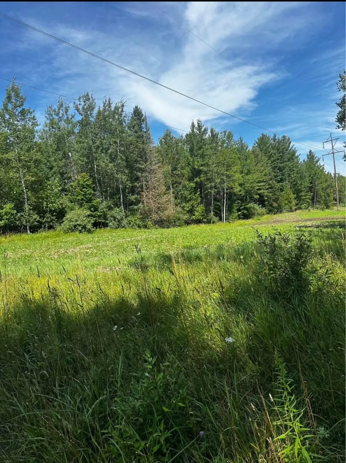 777 E Spruce Road, Spruce, MI 48762 - #1