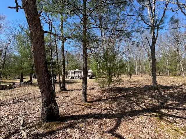 VL E Roosevelt Road, Rothbury, MI 49452 - #1