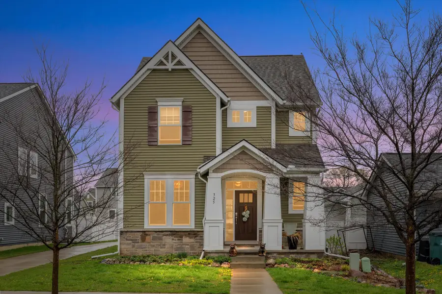 325 University Street, Ferndale, MI 48220 - #2