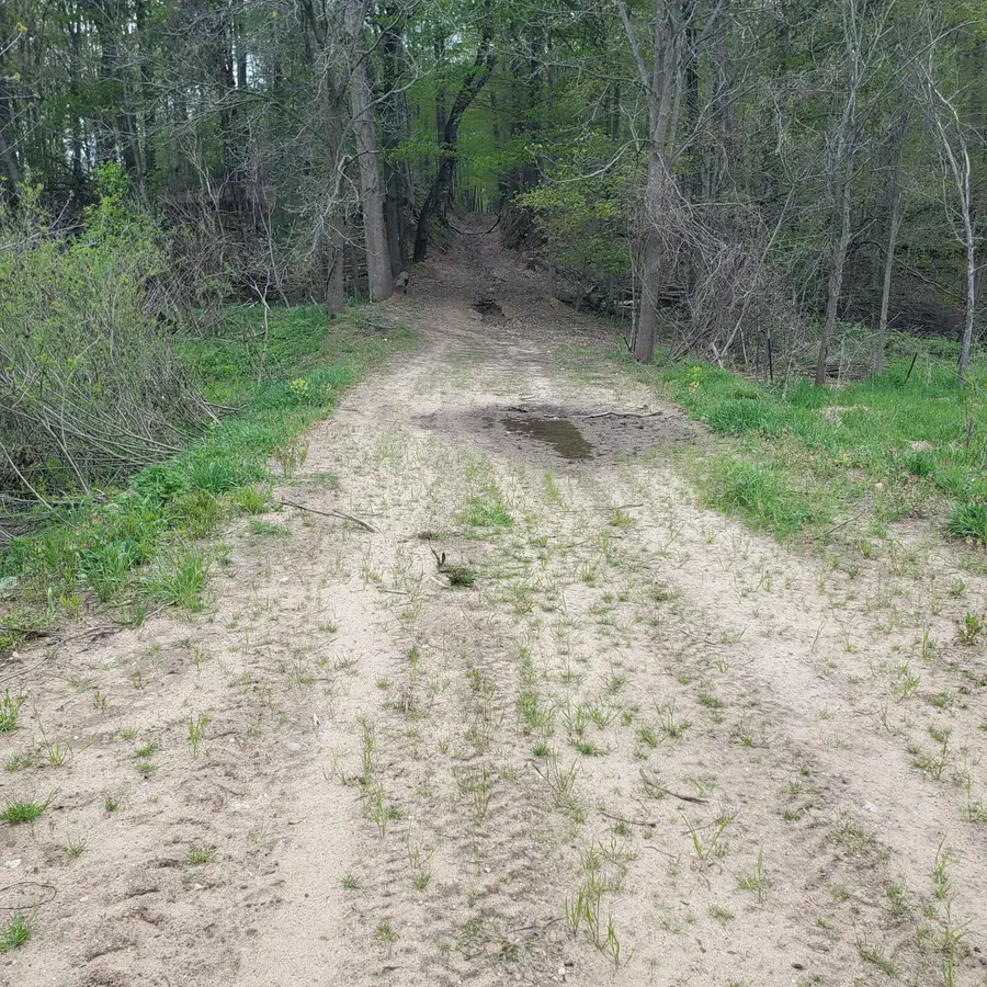 17th Street, Hopkins, MI 49328 - #3