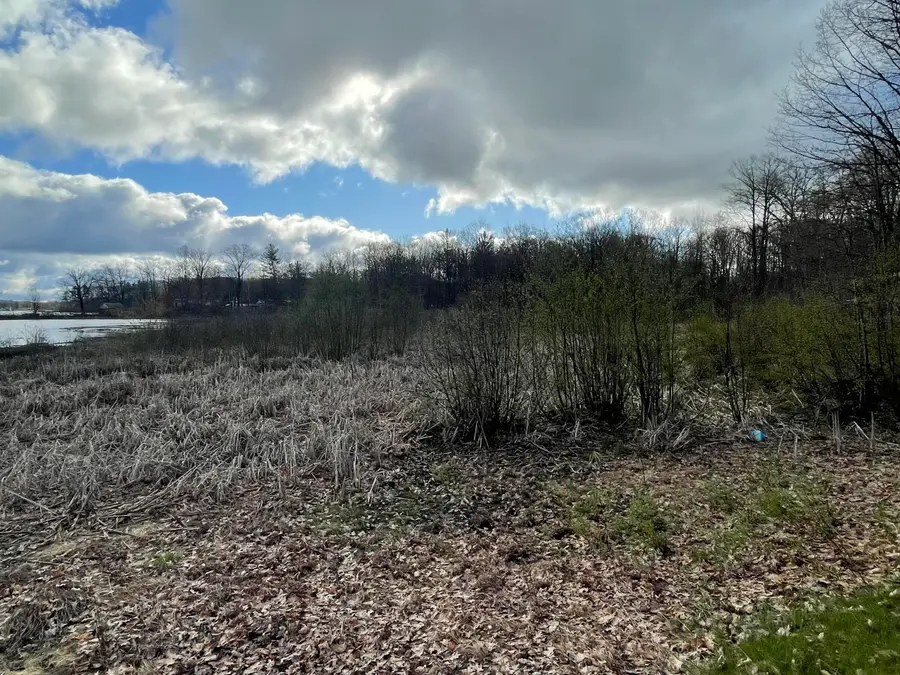 E Madison Road, Walkerville, MI 49459 - #3