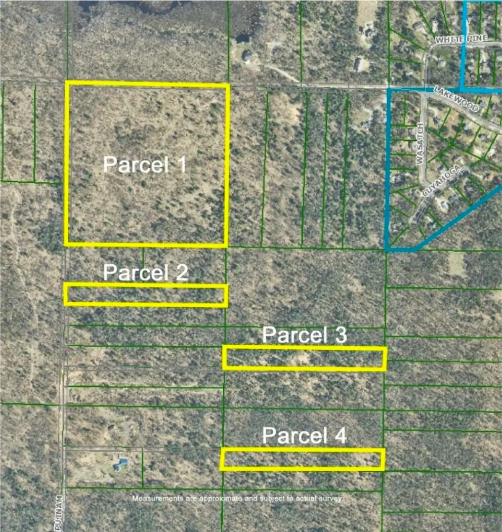 40 acres E Lakewood, Twin Lake, MI 49457 - #1