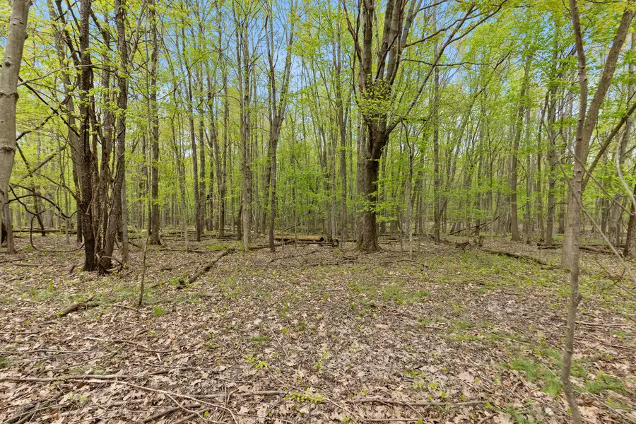 6th Avenue, Bloomingdale, MI 49026 - #3