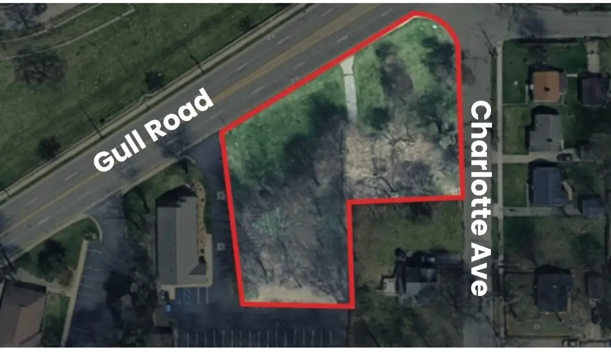 1119 Charlotte Avenue, Kalamazoo, MI 49048 - #1