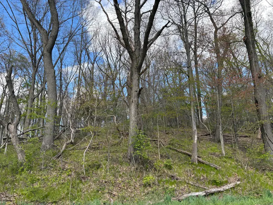 V/L Anderson Road, Cassopolis, MI 49031 - #3