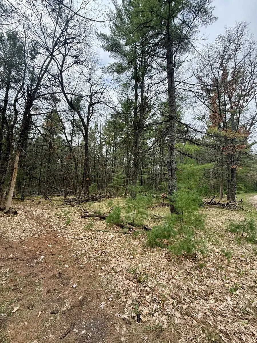 5858 W Wingleton Road, Baldwin, MI 49304 - #2