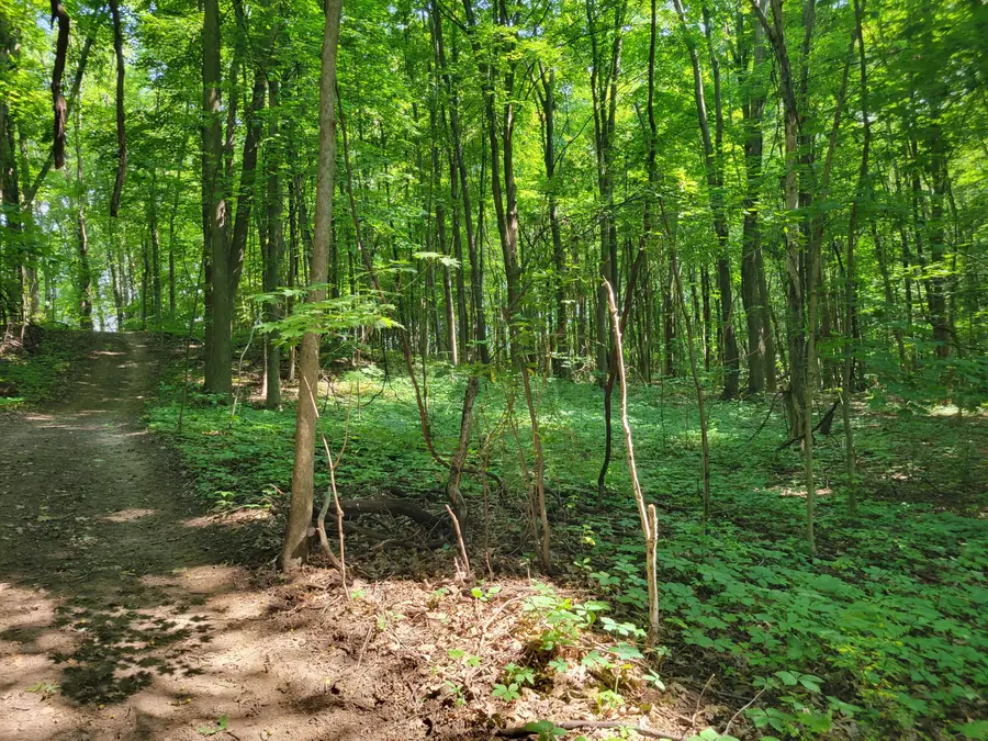 V/L Peterson Drive, Gobles, MI 49055 - #2