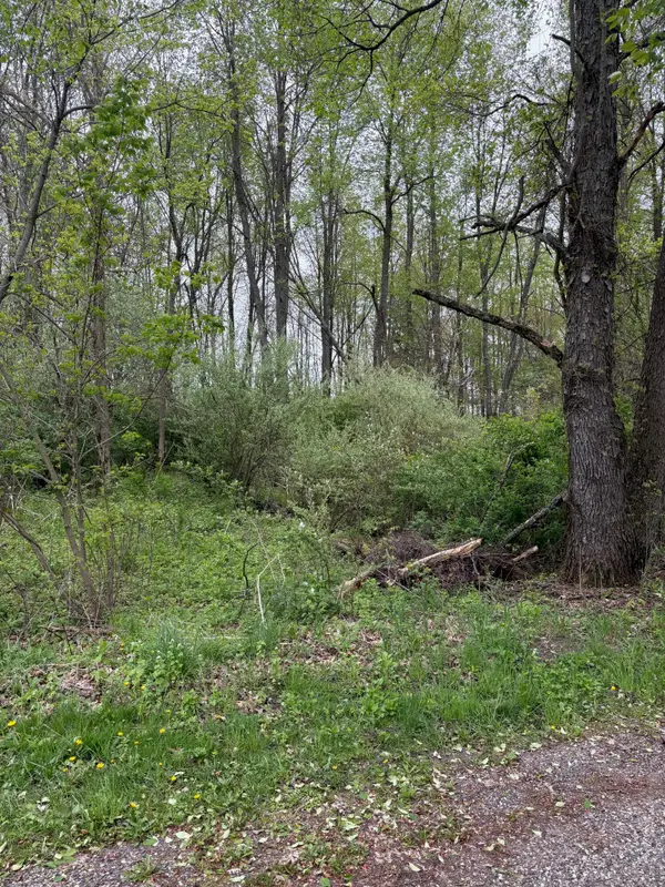 V/L W Quimby Road, Hastings, MI 49058