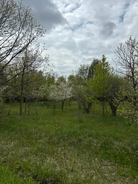 4680 Luce Street #Parcel C, Jenison, MI 49428 - #3