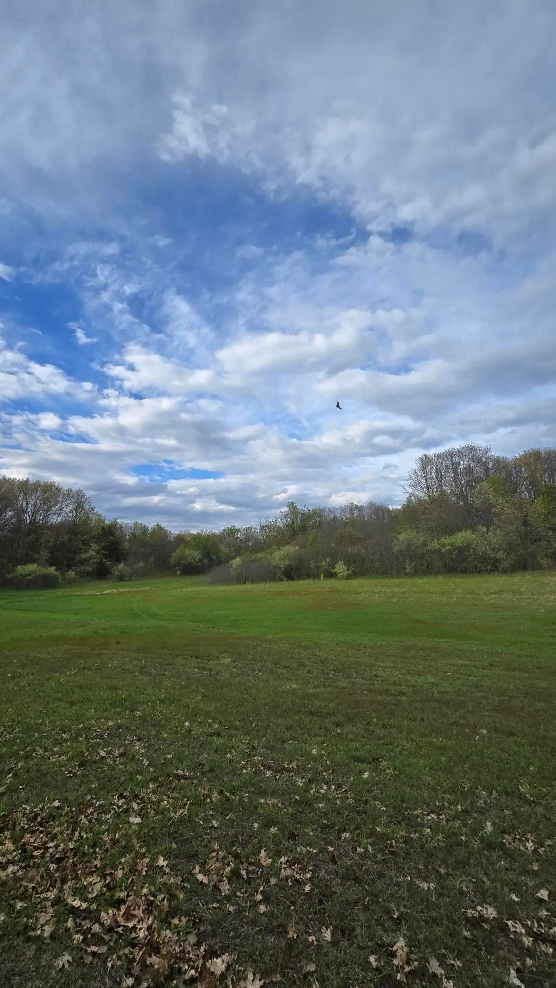 675 Marsh Road, Plainwell, MI 49080 - #1