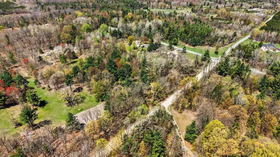 8971 E 64th Street, Chase, MI 49623 - #3