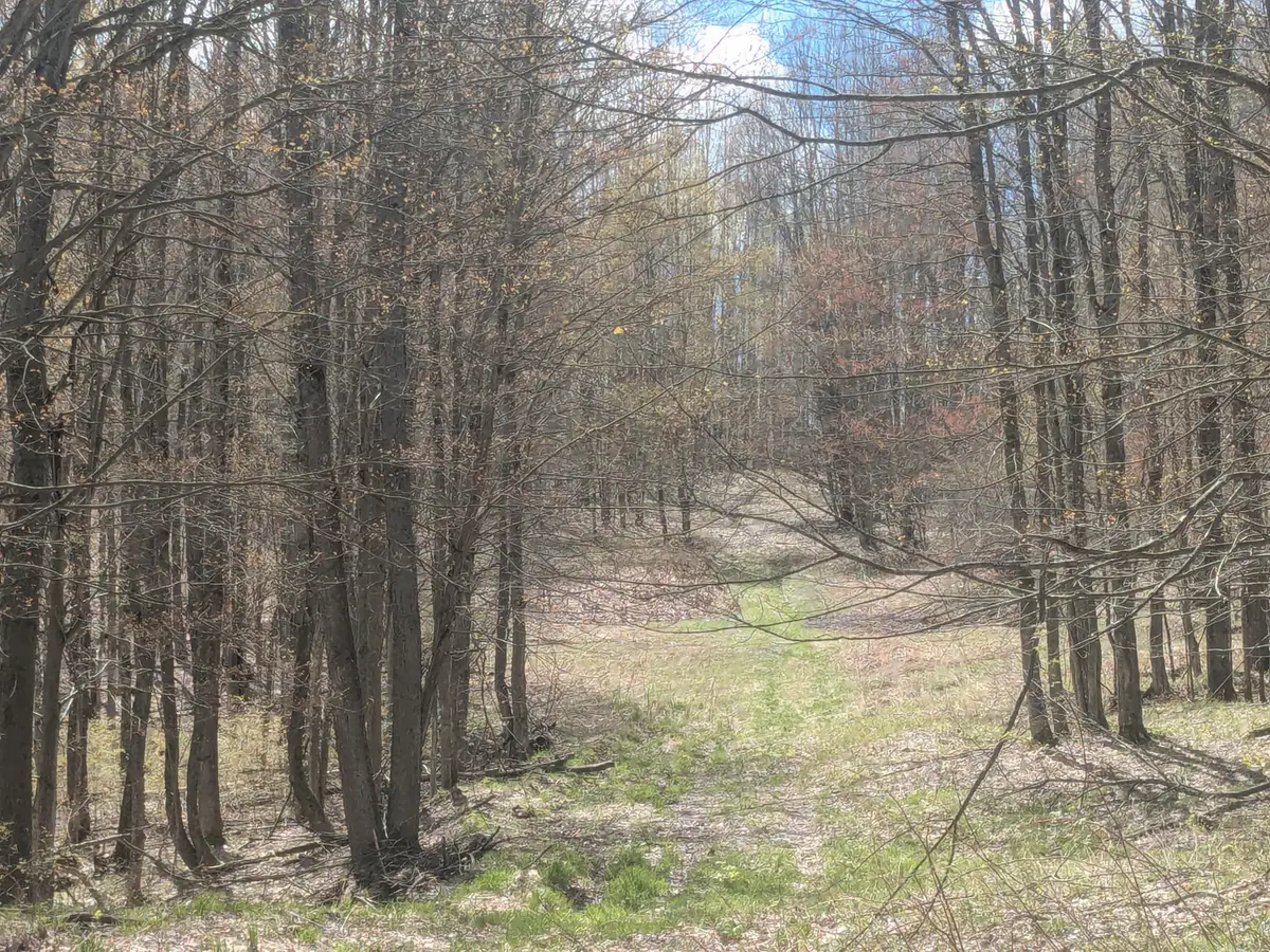 20179 N Coates Highway, Brethren, MI 49619 - #1