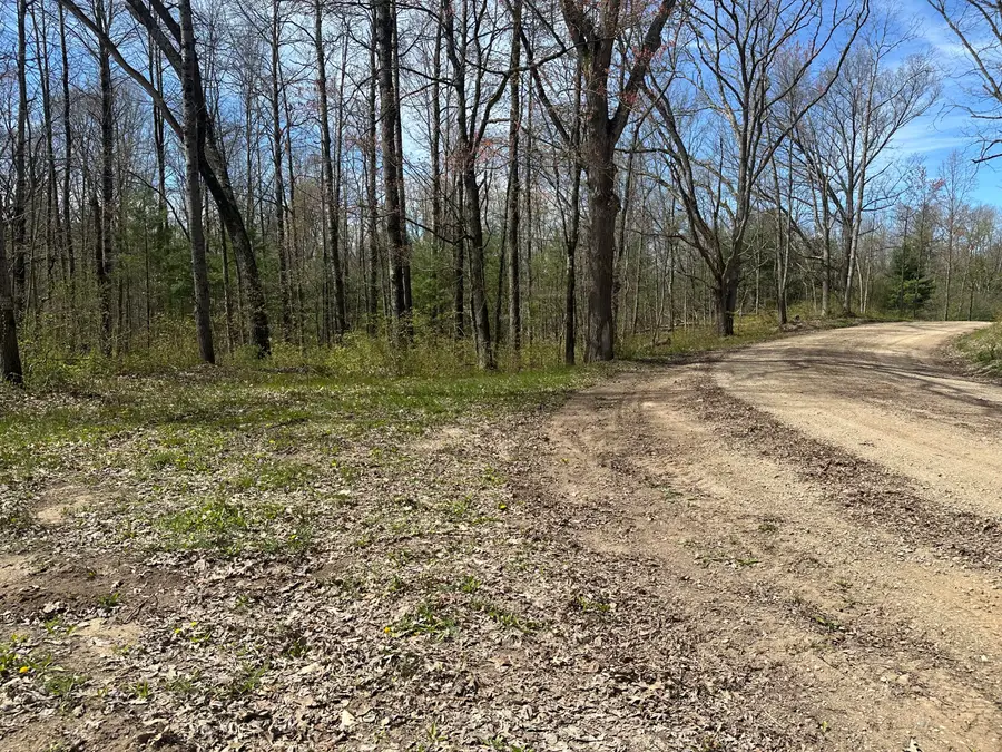 00 S Shepperd Road, Branch, MI 49402 - #2