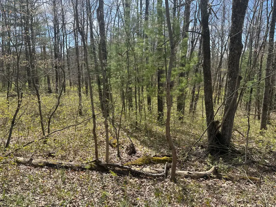 00 S Shepperd Road, Branch, MI 49402 - #3