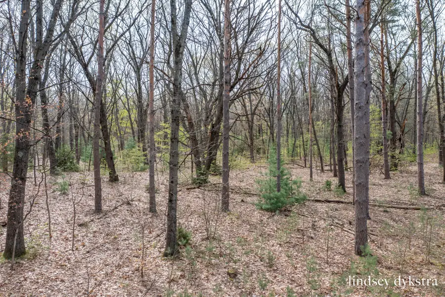 8700 Bentham Court, Rockford, MI 49341 - #2