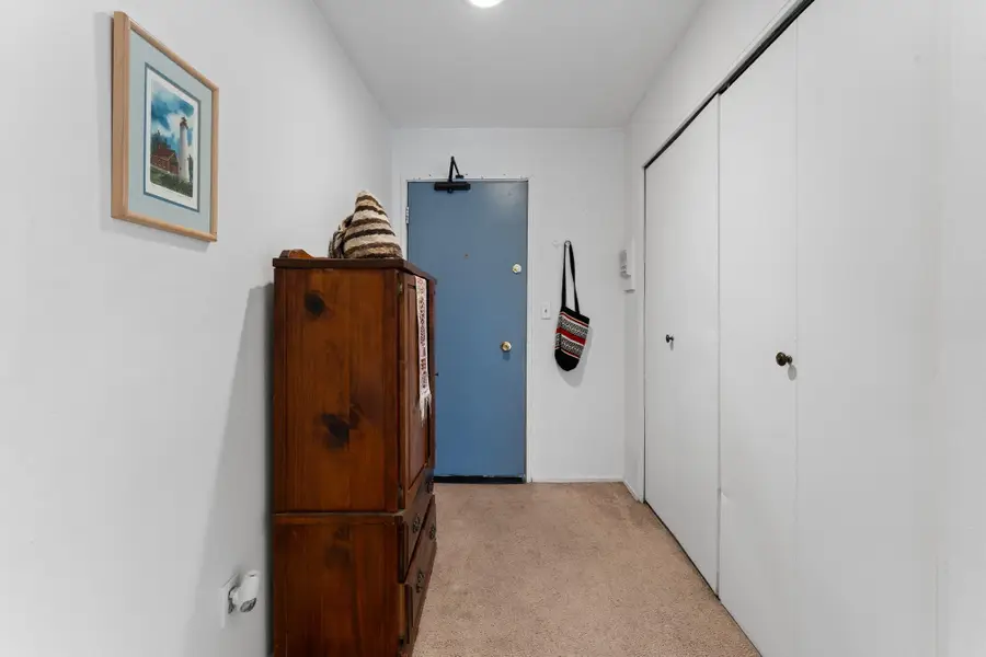 207 Ballard Street #106, Ypsilanti, MI 48197 - #3