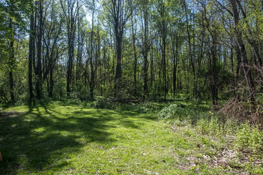 409 W E Avenue, Kalamazoo, MI 49009 - #3