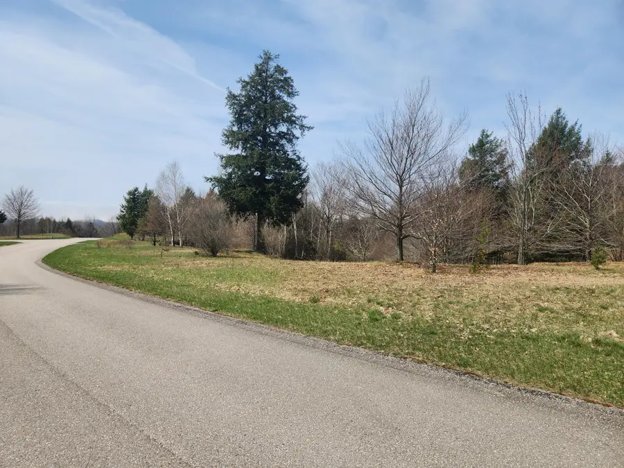 N Slope Drive #93, Onekama, MI 49675 - #2