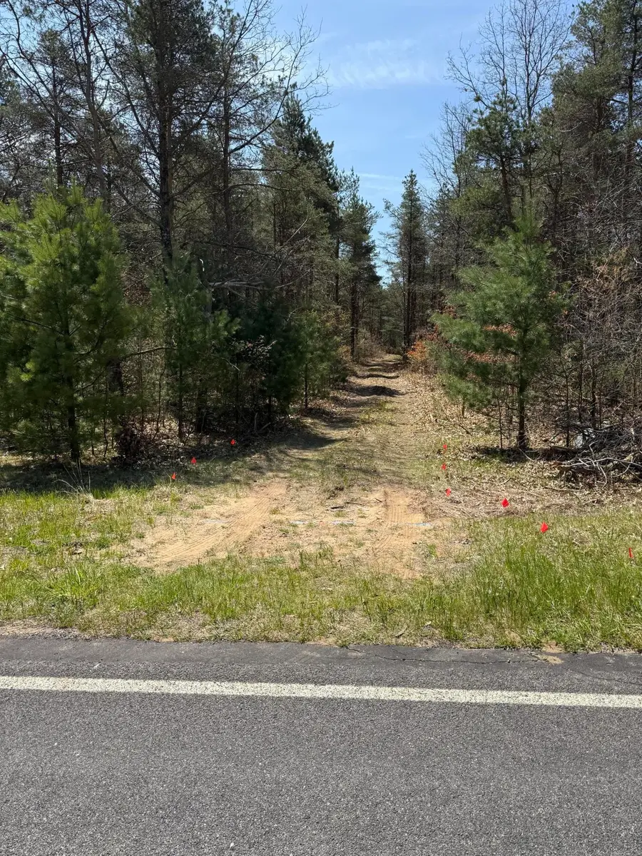 V/l W Almy Road, Howard City, MI 49329 - #2