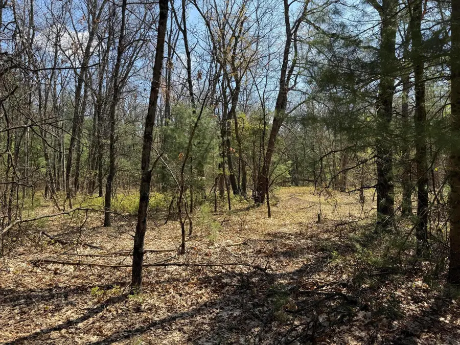 V/l W Almy Road, Howard City, MI 49329 - #3