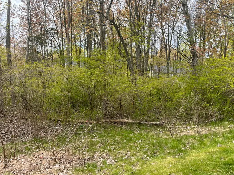 V/L Lakeview Avenue, South Haven, MI 49090 - #2