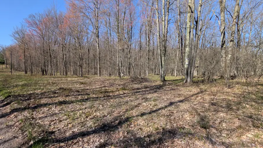 V/l Willow Avenue N #Parcel J, Bitely, MI 49309 - #3