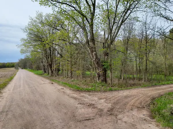 V/L Biggs Avenue Ne, Lowell, MI 49331