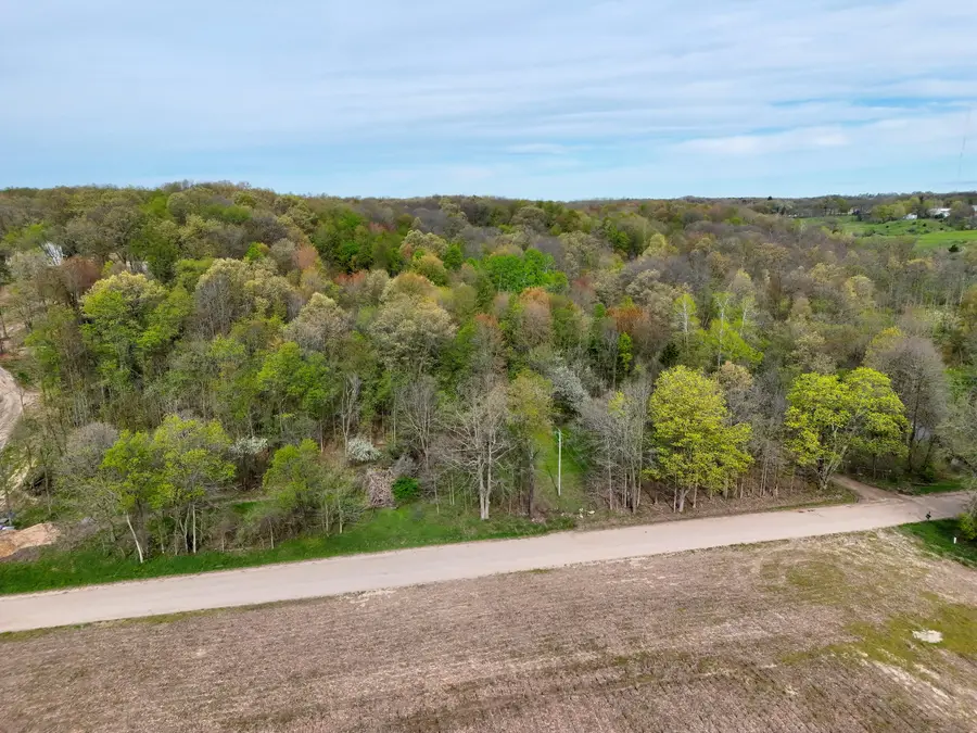 V/L Biggs Avenue Ne, Lowell, MI 49331 - #2