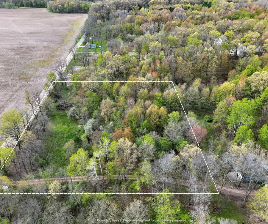 V/L Biggs Avenue Ne, Lowell, MI 49331 - #3