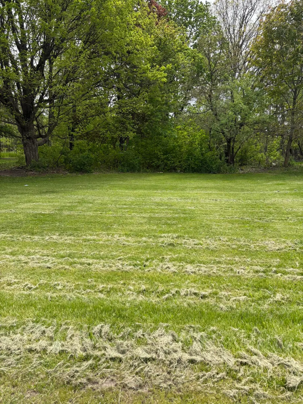 W Territorial Road, Battle Creek, MI 49015 - #1