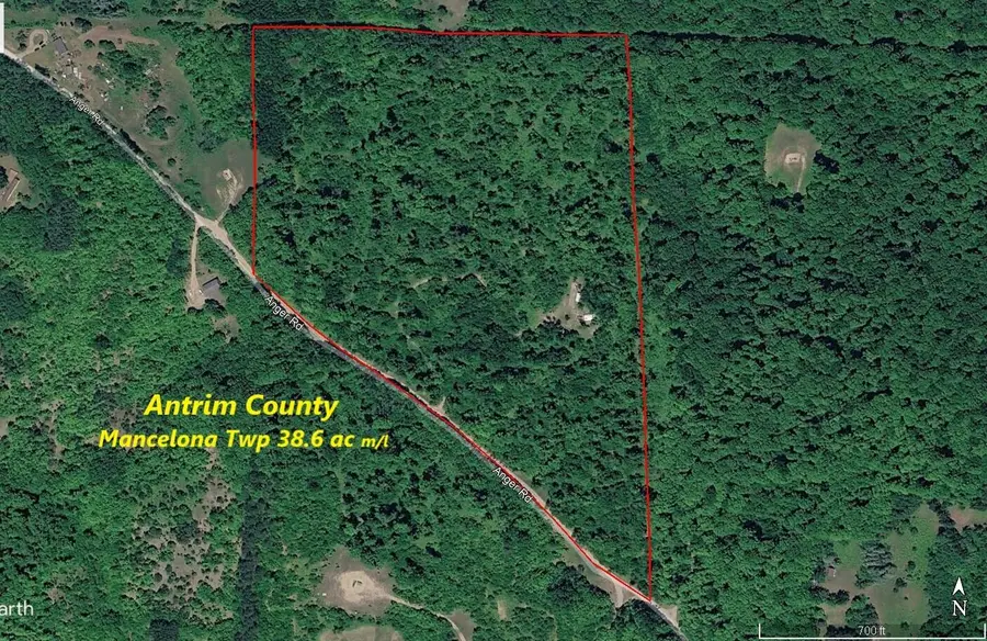 8241 Anger Road, Mancelona, MI 49659 - #2