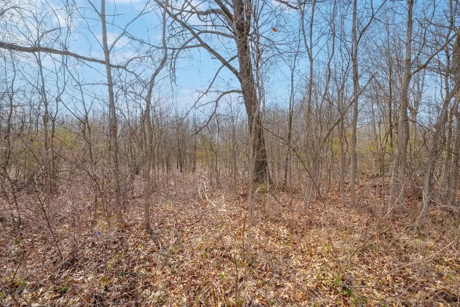 3 1/2 Mile Road, Athens, MI 49011 - #3