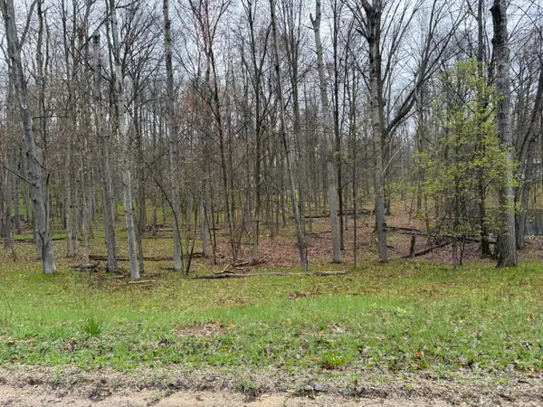 8196 Pine Tree Trail, Stanwood, MI 49346