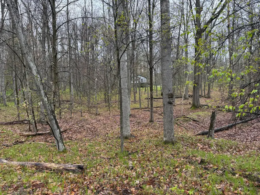 8196 Pine Tree Trail, Stanwood, MI 49346 - #2
