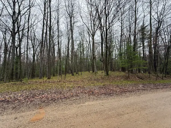 8278 Highland Trail, Stanwood, MI 49346